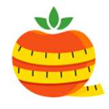 番茄闪轻v1.2.2