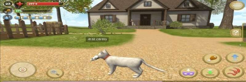 可爱小猫模拟器游戏官方最新版