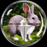 狙击手猎兔狩猎v1.1