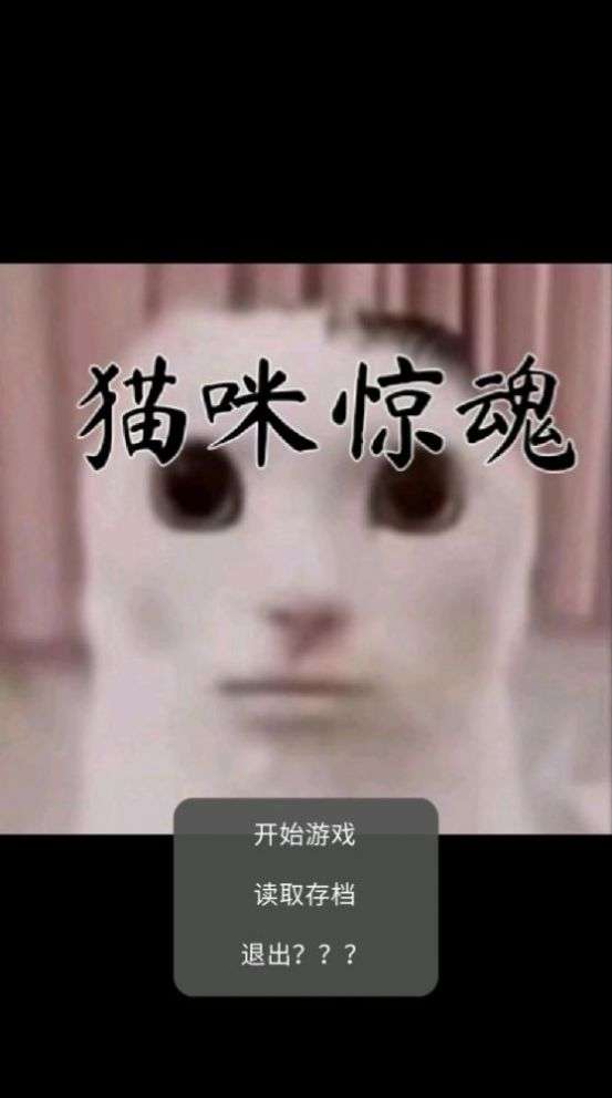 猫猫惊魂中文版免费下载