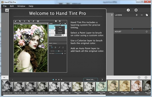 Hand Tint Pro