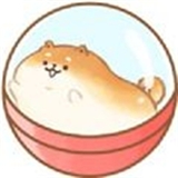 面包胖胖犬金币版v1.2
