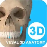 维萨里3D解剖v4.7.1