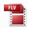 FLV文件专用加密器
