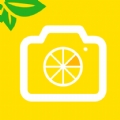 柠檬水印相机v1.0