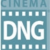 Adobe DNG Codec(DNG解码器)