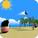 海滩排球v1.1