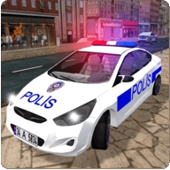 真实警车驾驶模拟器游戏v3.5