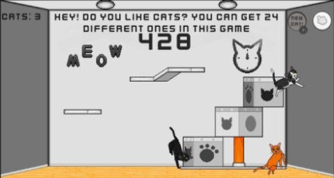 24只猫游戏