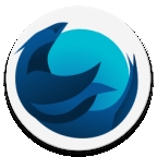 iceraven浏览器v1.6.0
