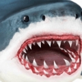 终极鲨鱼攻击v1.0.3