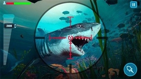 幸存者鲨鱼游戏