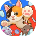 顽皮猫v1.0.0