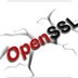 OpenSSL