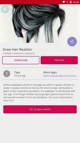 Hair Realisticv绘画