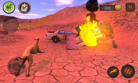灵狮狗模拟游戏