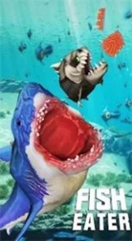 鲨鲨进化论游戏