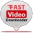 Fast Video Downloader(视频下载软件)