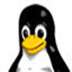 Linux Kernel