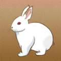守住小兔子游戏官方版v1.0