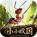 小小蚁国真实蚂蚁世界游戏官方正版v1.8.0