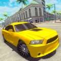 汽车驾驶游戏开放世界游戏中文手机版（Car Driving Game）