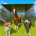 动物庇护所宠物世界游戏官方版v1.0