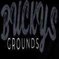 Buckys Grounds游戏中文手机版v1.0