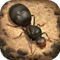 小小蚁国蚁族时代游戏下载安装v1.31.0