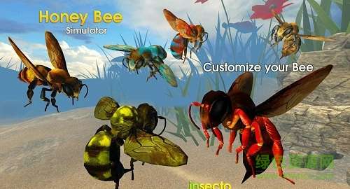 蜜蜂模拟器3D