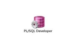 PL/SQL Developer