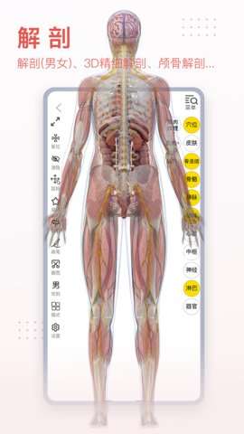 3Dbody解剖免费版