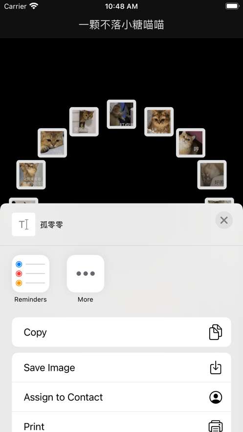 一颗不落小糖喵喵