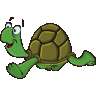小龟快跑v3.5.6