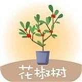 花椒树借款v1.1