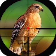 鸟类狩猎挑战v1.0