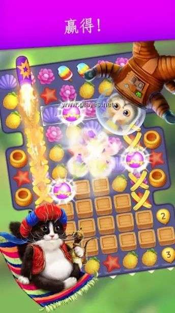 可爱的猫咪珍藏游戏官方最新版