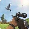 鸽子射击游戏安卓版（Pigeon Shoot）