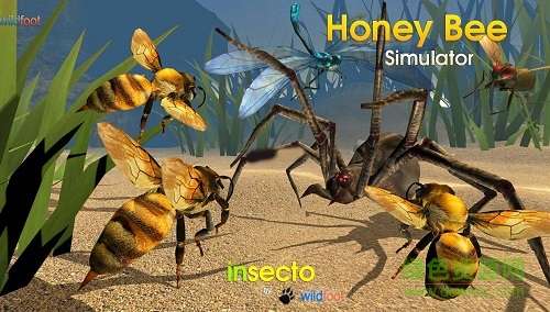 蜜蜂模拟器3D