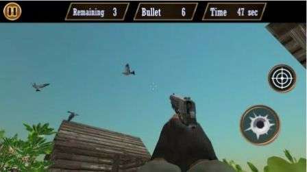 鸽子射击游戏安卓版（Pigeon Shoot）