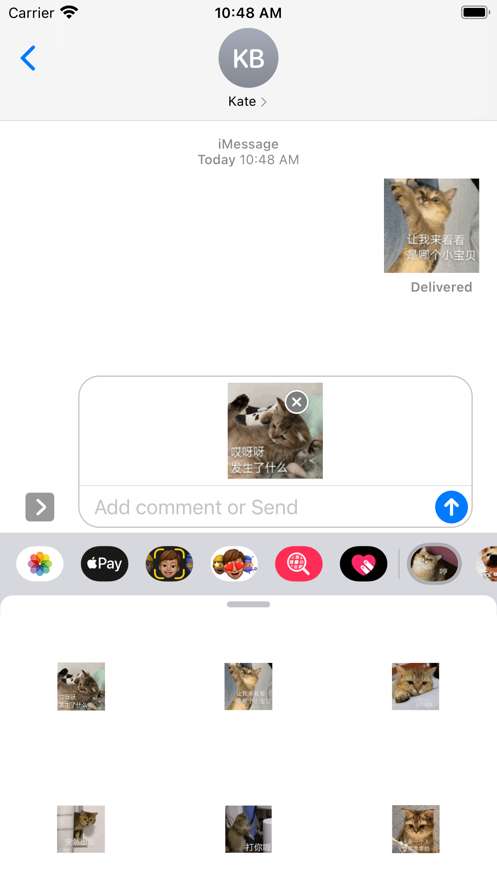 一颗不落小糖喵喵