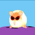 仓鼠小偷游戏手机版下载（Hamster Thief）v1.0