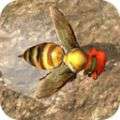 蜜蜂生存模拟器v1.0