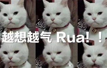 rua是什么意思