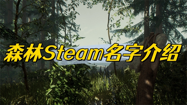 森林Steam名字介绍