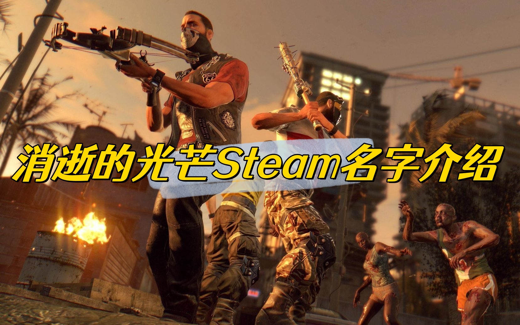 消逝的光芒Steam名字介绍