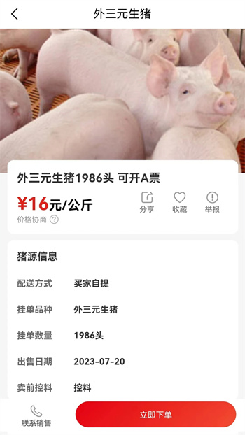 国家生猪市场