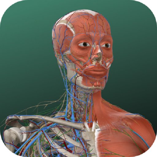 万康人体解剖v3.0.4
